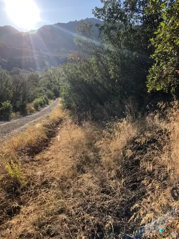 Undisclosed, Springville, UT 84663 photo 14