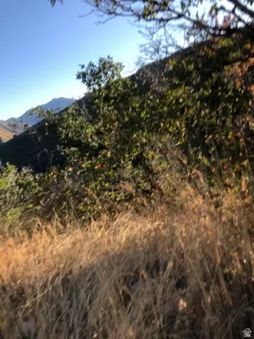 Undisclosed, Springville, UT 84663 photo 36
