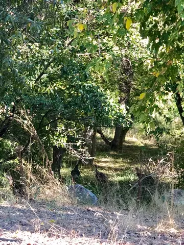 Undisclosed, Springville, UT 84663 photo 12