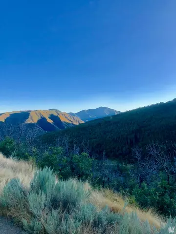 Undisclosed, Springville, UT 84663 photo 2