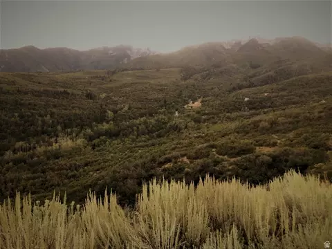Undisclosed, Springville, UT 84663 photo 8