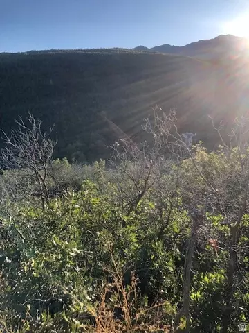 Undisclosed, Springville, UT 84663 photo 30