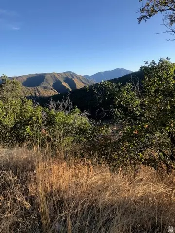 Undisclosed, Springville, UT 84663 photo 32