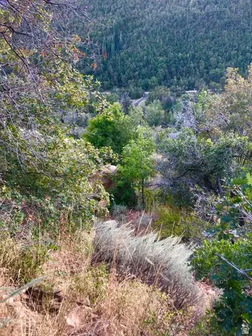Undisclosed, Springville, UT 84663 photo 11