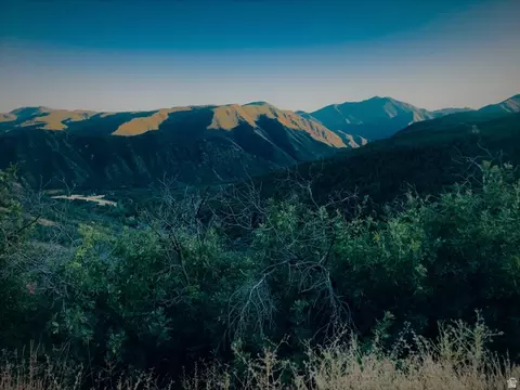 Undisclosed, Springville, UT 84663 photo 4