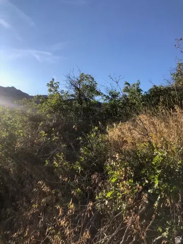 Undisclosed, Springville, UT 84663 photo 18