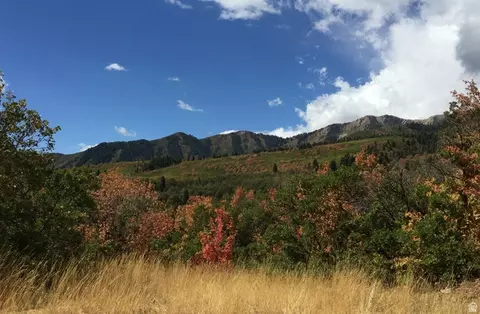 Undisclosed, Springville, UT 84663 photo 10
