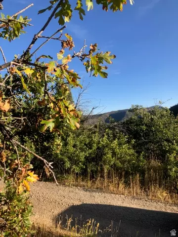Undisclosed, Springville, UT 84663 photo 19