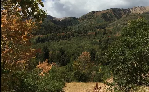 Undisclosed, Springville, UT 84663 photo 6