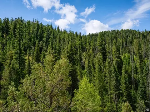 Undisclosed, Daniel, UT 84032 photo 7