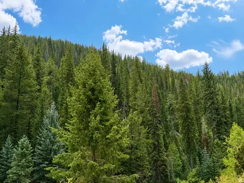 Undisclosed, Daniel, UT 84032 photo 6
