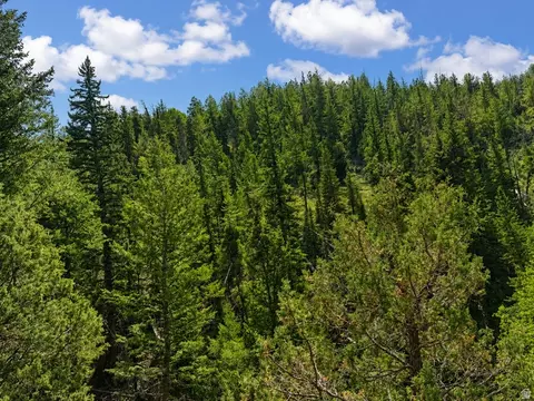 Undisclosed, Daniel, UT 84032 photo 8
