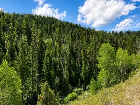 Undisclosed, Daniel, UT 84032 photo 5