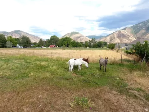 Other - 333 W Maple St, Mapleton, UT 84664 photo 2 of 9