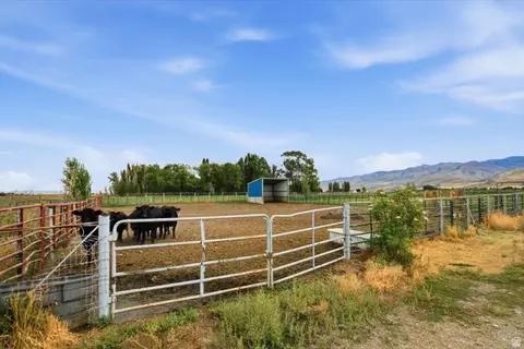 Exterior - 1150 S 800 E, Lewiston, UT 84320 photo 15 of 42