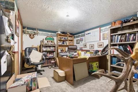 Other - 1150 S 800 E, Lewiston, UT 84320 photo 7 of 32