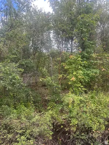 Other - 4880 S Rhoades Dr, Hideout, UT 84036 photo 6 of 7