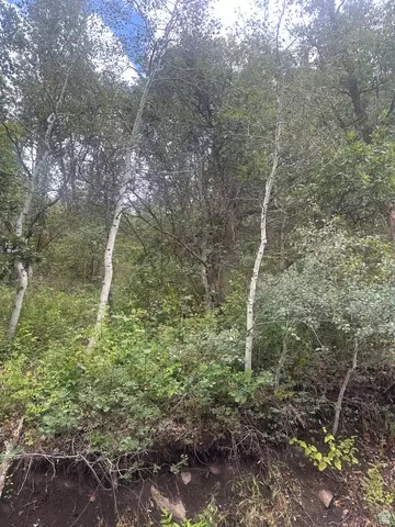 Other - 4880 S Rhoades Dr, Hideout, UT 84036 photo 3 of 7