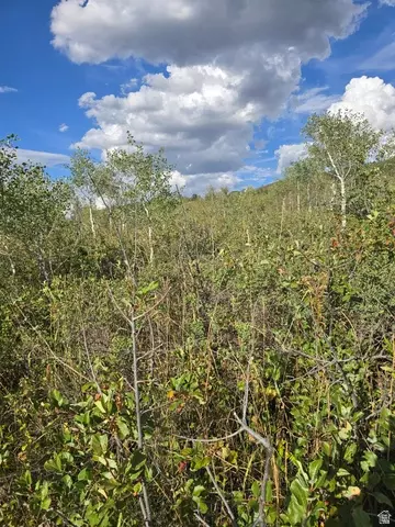 Undisclosed, Avon, UT 84328 photo 3