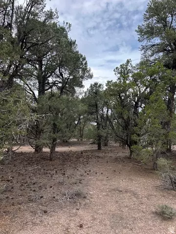 Undisclosed, Modena, UT 84753 photo 48