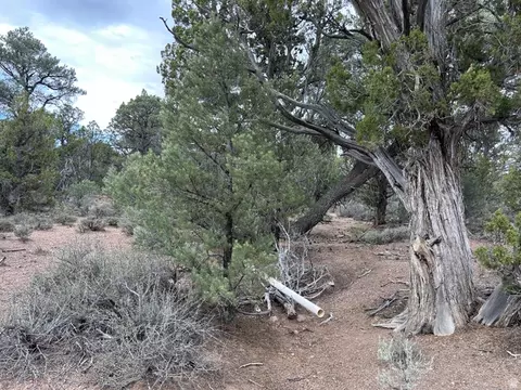 Undisclosed, Modena, UT 84753 photo 53