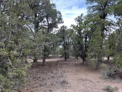Undisclosed, Modena, UT 84753 photo 49