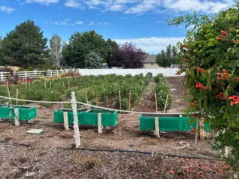 367 E Pheasant View Dr #2, Draper, UT 84020 photo 3