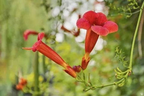 Other - 910 W Garden Cir, Nibley, UT 84321 photo 9 of 9