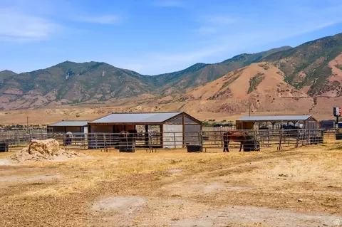 Exterior - 285 E Cimmarron Way N, Erda, UT 84074 photo 13 of 14