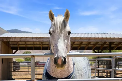 Other - 285 E Cimmarron Way N, Erda, UT 84074 photo 16 of 20