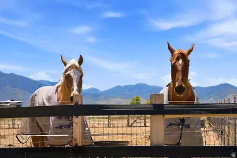 Other - 285 E Cimmarron Way N, Erda, UT 84074 photo 13 of 20