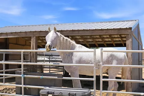 Other - 285 E Cimmarron Way N, Erda, UT 84074 photo 15 of 20