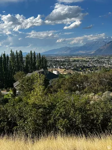 3217 E Hawk Dr S, Spanish Fork, UT 84660 photo 4
