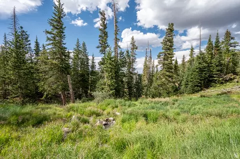 Other - 1074 S Bristlecone Ln, Brian Head, UT 84719 photo 7 of 14