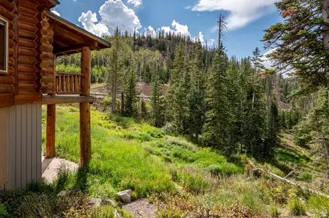 Exterior - 1074 S Bristlecone Ln, Brian Head, UT 84719 photo 9 of 14