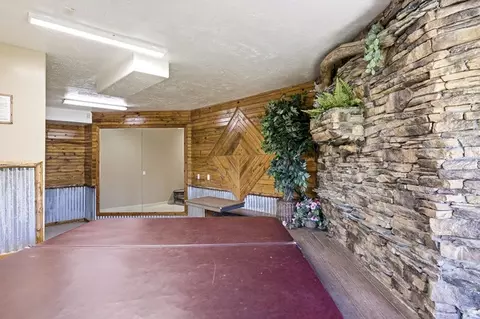 Other - 1074 S Bristlecone Ln, Brian Head, UT 84719 photo 14 of 14