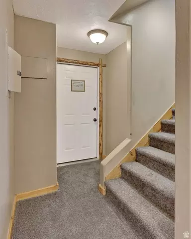Entry Way - 1074 S Bristlecone Ln, Brian Head, UT 84719 photo 5 of 10