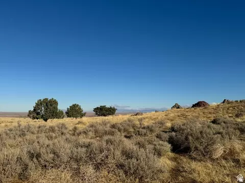 1000 S Foothill Blvd, Delta, UT 84624 photo 10