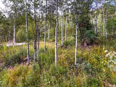 Other - 3398 River Vu Rd, Oakley, UT 84055 photo 15 of 15