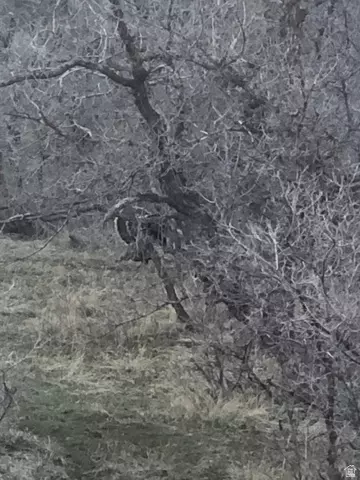 Other - 541 S Left Fork Hobb Rd E #8, Springville, UT 84663 photo 10 of 29