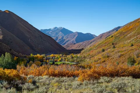 Other - 541 S Left Fork Hobb Rd E #8, Springville, UT 84663 photo 18 of 29