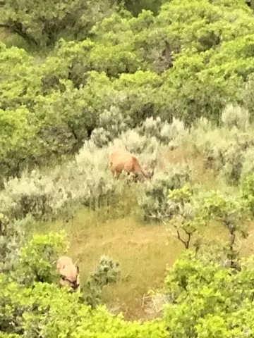 Other - 541 S Left Fork Hobb Rd E #8, Springville, UT 84663 photo 1 of 29