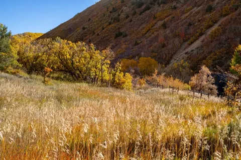 Other - 541 S Left Fork Hobb Rd E #8, Springville, UT 84663 photo 19 of 29