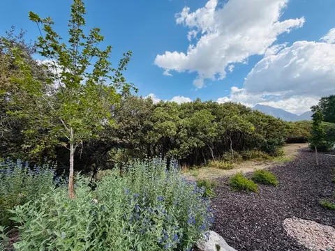 Exterior - 10554 S Bay Meadow Dr E #2, Sandy, UT 84092 photo 14 of 15
