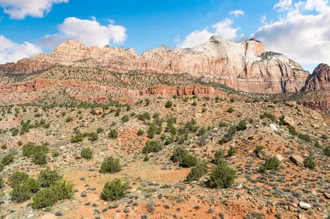 Zion Park Blvd, Springdale, UT 84767 photo 18