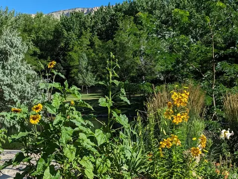 View/Area - 1040 W Mill Rd, Ferron, UT 84523 photo 12 of 14