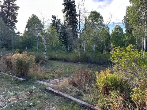 Other - 98 Mountain Spring Dr, Fairview, UT 84629 photo 1 of 4