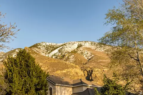 Other - 2249 E Gambel Oak Dr S, Sandy, UT 84092 photo 15 of 15