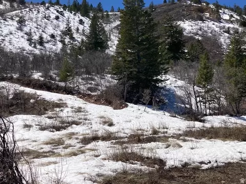 Undisclosed, Tabiona, UT 84072 photo 15