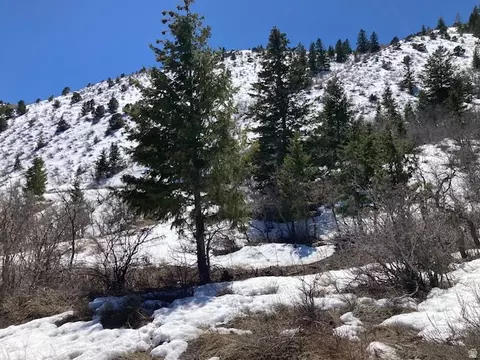 Undisclosed, Tabiona, UT 84072 photo 20